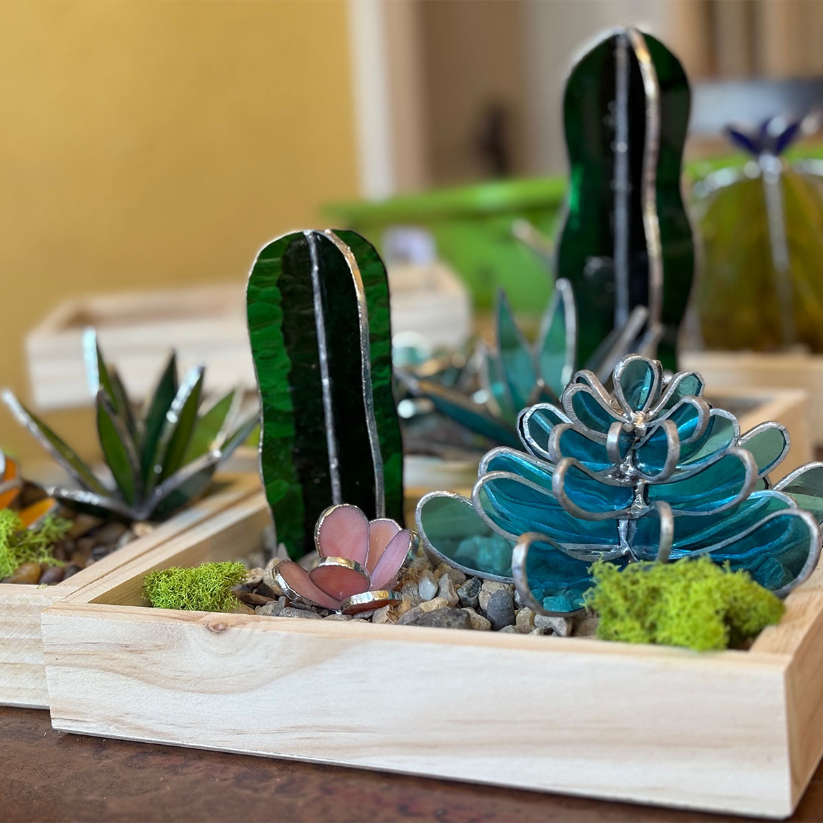 3D Succulent Garden Piece workshop Pane in the Glass Wyo Casper Wyoming